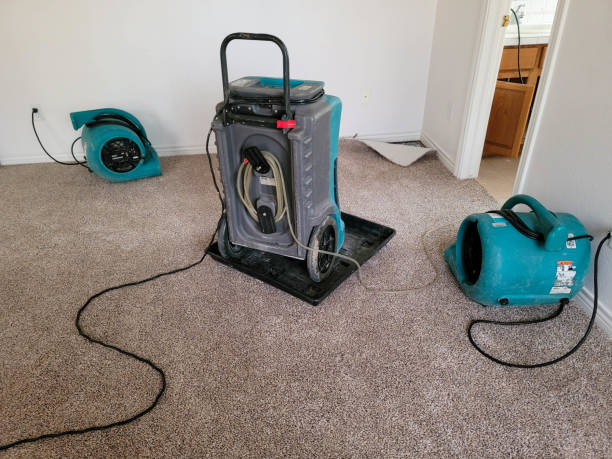 Best Carpet water damage restoration  in North Bend, OH