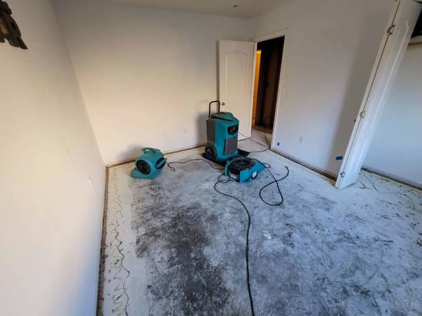 Best Emergency water damage restoration  in North Bend, OH